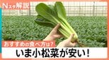 いま小松菜が安い!農家のおすすめの食べ方は「生」 安いうちに冷凍保存でお買い得に【Nスタ】|TBS NEWS DIG