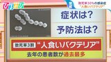 致死率30%“人食いバクテリア”過去最多に　感染経路や予防法は？ 足の傷に注意【ひるおび】|TBS NEWS DIG