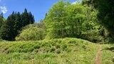 車を降り、歩いて5分でクマに遭遇　山菜採りの男性がクマに襲われ顔などにケガ（山形・朝日町）|TBS NEWS DIG