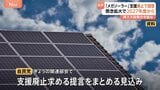 メガソーラー 2027年度以降の新規事業への支援廃止へ 環境破壊や安全性に対する地域の懸念など背景か|TBS NEWS DIG