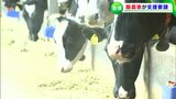 円安やウクライナ情勢の影響で飼料価格「約1.7倍」に高騰 酪農家が岡山市に支援要請|TBS NEWS DIG