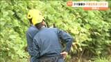 「人海戦術できない悔しさがある」クマ襲撃か行方不明70代女性ドローンで捜索続くも発見に至らず 宮城|TBS NEWS DIG
