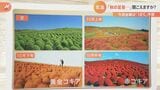 「秋の足音・・・」聞こえますか? 10月7日(金)は18度予想|TBS NEWS DIG