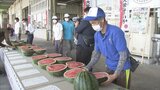 特産「大栄西瓜」例年にない甘さと大きさ 一方で原油高の影響ジワリ|TBS NEWS DIG