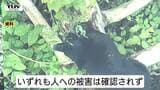 きょうもクマ目撃　鮭川村、山形市で　人や物への被害は確認されず（山形）　|　山形のニュース│TUYテレビユー山形