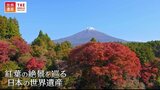 紅葉の名所の世界遺産!京都・嵐山、嚴島神社の宮島、白川郷…実は人がつくった日本の秋の絶景|TBS NEWS DIG