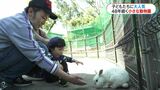 昭和から続く風景　鹿屋市営の小さな動物園|TBS NEWS DIG