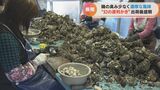 濃厚でクリーミーな風味が特徴 幻のカキ「渡利かき」の出荷が最盛期 三重・紀北町 | 名古屋・愛知・岐阜・三重のニュース【CBC news】 | CBC web