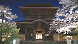 “完全復活”の阿蘇神社「満開の夜桜」浮かび上がる ライトアップは13日まで 熊本 | 熊本のニュース|RKK NEWS|RKK熊本放送