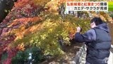 「弘前城菊と紅葉まつり」が1日開幕 今年のメインシンボルは城の守り神「玄武」　青森県弘前市　|　青森のニュース│ATV NEWS│青森テレビ