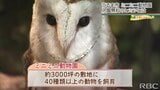 なぜ無料で運営できる?うるま市のミニミニ動物園【わがまちLink41】 | 沖縄のニュース|RBC 琉球放送