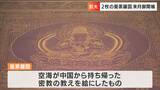 「真言密教の教えが詰まっている」総本山善通寺が「曼荼羅」を200年ぶりに一般公開 11月7日から【香川】|TBS NEWS DIG