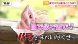 目・鼻・舌で満喫できるバラ!ツウは「ハチより速く動いて香りをかぐ」東沢バラ公園が大勢の人で賑わう(山形・村山市) | 山形のニュース│TUYテレビユー山形