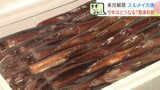 函館のスルメイカ漁が6月1日解禁…日本海の分布調査では漁獲なしで漁師「かなり不安」出漁を見送る船も、漁期後半に期待 | 北海道のニュース|HBC北海道放送