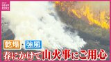 乾燥・強風 冬から春にかけては山火事が急増 広島県南部では今年49日中42日間で乾燥注意報 火の取り扱い注意点は|TBS NEWS DIG