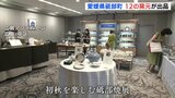 広島アンデルセンで砥部焼展　12の窯元が1200点を出品　|　RCC NEWS | 広島ニュース | RCC中国放送