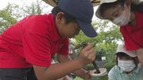 甲府市の遊亀公園附属動物園で子どもたちが動物の遊具づくりに挑戦|TBS NEWS DIG