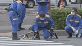 千葉・船橋市でトラックがひき逃げ 60代女性が横断歩道を歩行中にひかれたか 女性は腕などにけがをし重傷 |TBS NEWS DIG