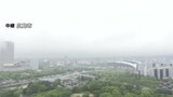 広島県 各地のライブカメラ映像(午前8時20分)【土砂災害警戒情報・大雨洪水警報】|TBS NEWS DIG