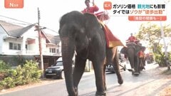 タイ観光地ではゾウが“徒歩出勤” 航空運賃などの高騰で旅行客が大幅減の予想も… イラン情勢受け世界中でガソリン高騰| TBS CROSS DIG with Bloomberg