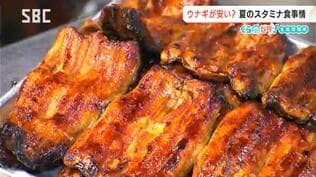 「土用の丑の日」は7月26日（日）ウナギが食べたい！　【くらピタ！】今年はウナギがお買い得!?去年のシラスウナギの豊漁で…夏のスタミナ食事情は？　|　SBC NEWS | 長野のニュース | SBC信越放送
