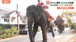 タイ観光地ではゾウが“徒歩出勤” 航空運賃などの高騰で旅行客が大幅減の予想も… イラン情勢受け世界中でガソリン高騰| TBS CROSS DIG with Bloomberg