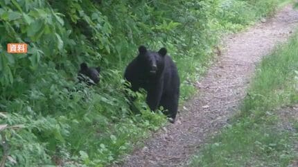 クマらしき動物目撃 島根県が注意呼びかけ 浜田市の県立石見海浜公園