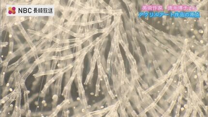 透明アクリル板を重ね表現 美術作家 徳永博子さん「その向こうにある