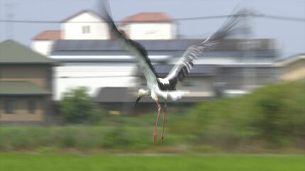 コウコウ 9Z1 ECO PLUS ミッドデニムコーチングジャケット｜REPLAY リプレイ公式