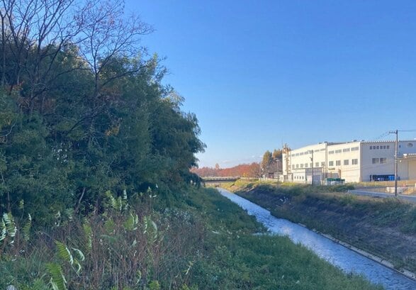 緊急銃猟で計3発…体長70センチの子グマ1頭を駆除、人身被害なし　滑川市本江で目撃情報　富山・滑川市　|　富山のニュース｜天気・防災｜チューリップテレビ