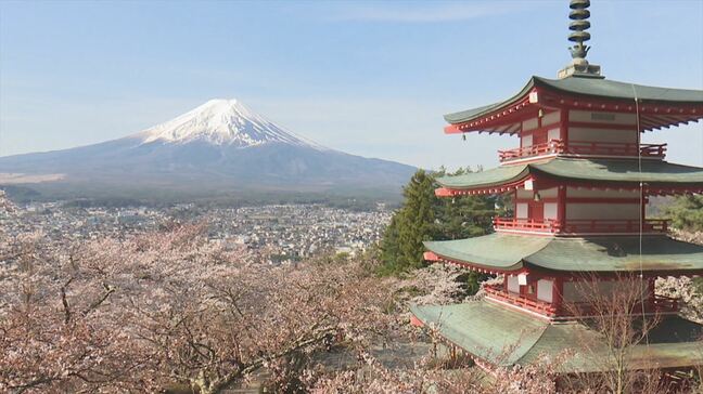 【速報】新倉山浅間公園桜まつりを開催しないと決定　民家庭先で排泄行為など　オーバーツーリズムが深刻な影響　観光客の過度な集中を抑制へ　山梨・富士吉田市|TBS NEWS DIG