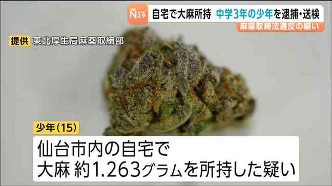中学3年15歳の少年が自宅に1.263gの大麻所持容疑で現行犯逮捕「捜査に支障きたす」認否明らかにせず 仙台|TBS NEWS DIG