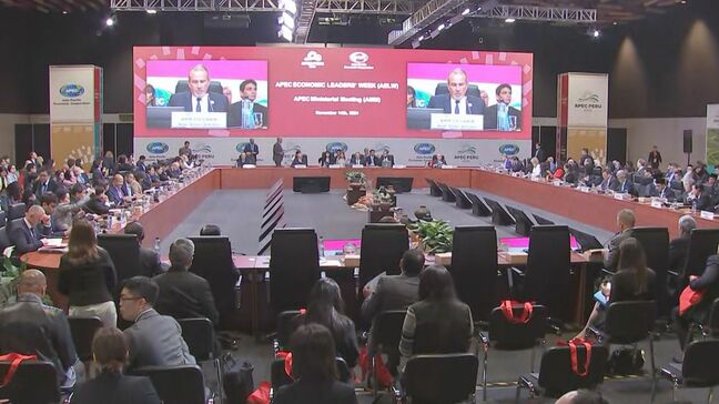APEC閣僚会議で自由貿易の重要性確認　共同声明まとまらず事務レベルで調整|TBS NEWS DIG