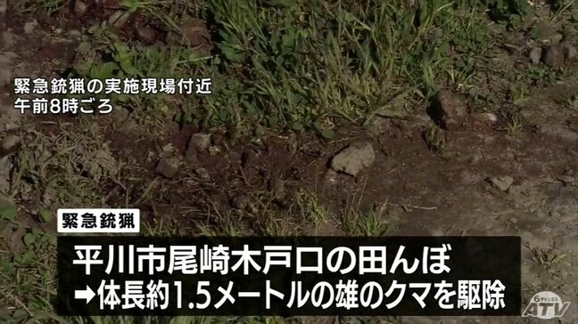 体長1.5メートルのクマが民家の300メートル付近に出没　緊急銃猟でクマを駆除　青森県平川市|TBS NEWS DIG