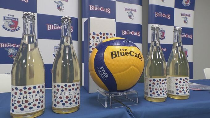 地元の魅力を発信！ 高松ぶどうの爽やかな酸味 ＰＦＵブルーキャッツ石川かほくのスパークリングワイン|TBS NEWS DIG