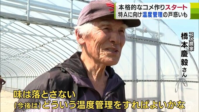 「とにかく特Aをとる。味は落とさない」2024年のコメ作り本格的にスタート　「青天の霹靂」と「はれわたり」作付け　|　青森のニュース│ATV NEWS│青森テレビ