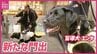 「いいパートナーになってきた」　盲導犬とユーザーの出発式　2027年秋には訓練センター開所へ　広島　|　RCC NEWS | 広島ニュース | RCC中国放送