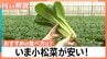 いま小松菜が安い！農家のおすすめの食べ方は「生」　安いうちに冷凍保存でお買い得に【Nスタ】|TBS NEWS DIG