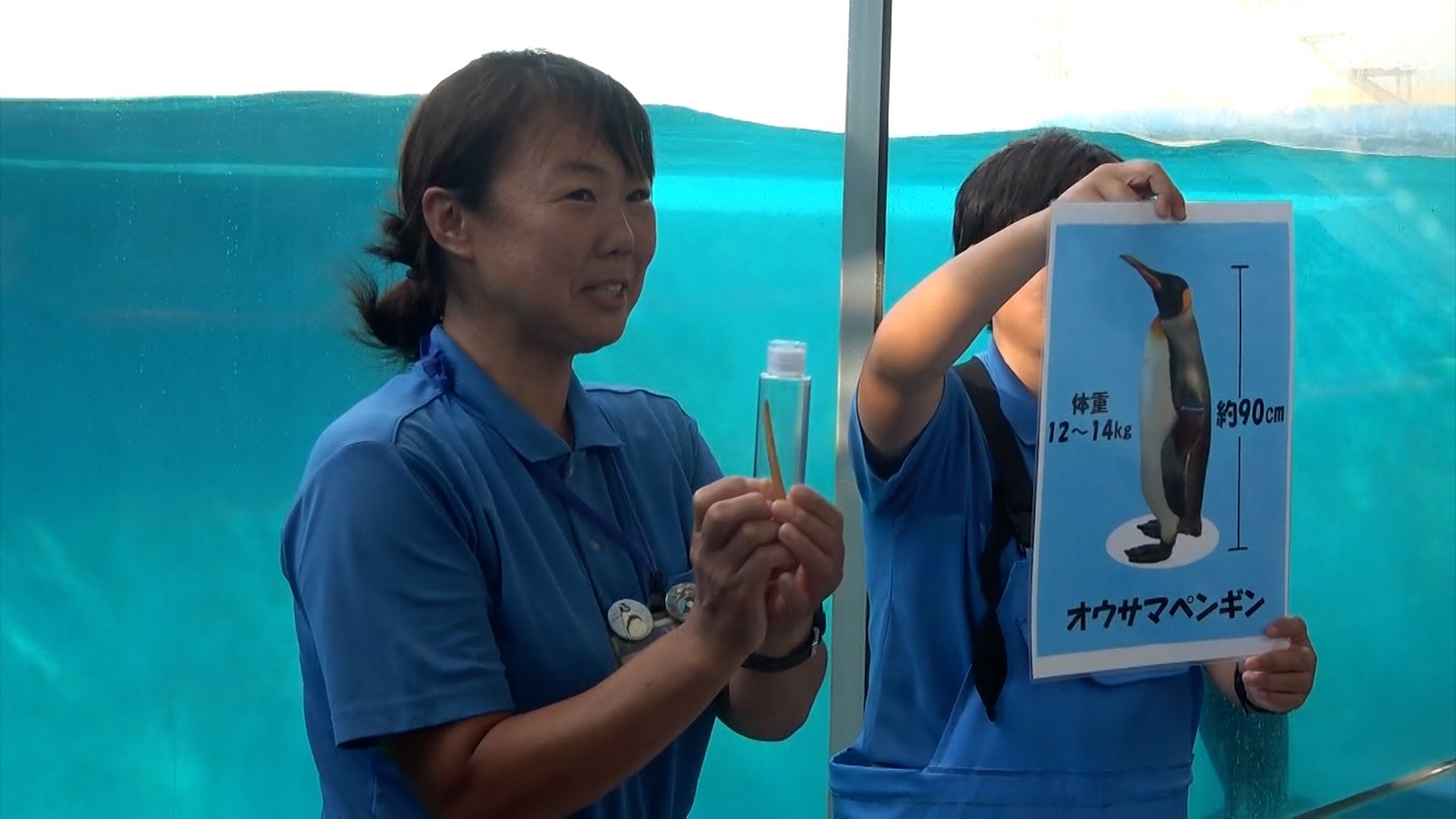 夏休みの自由研究に役立てて」 ペンギンの生態など学ぶ=下田海中水族館