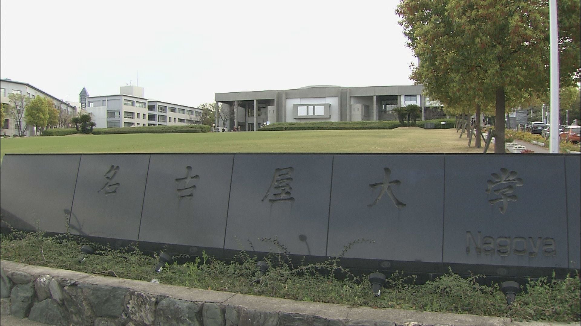 img_f22940dd59702568ee682a9bb7