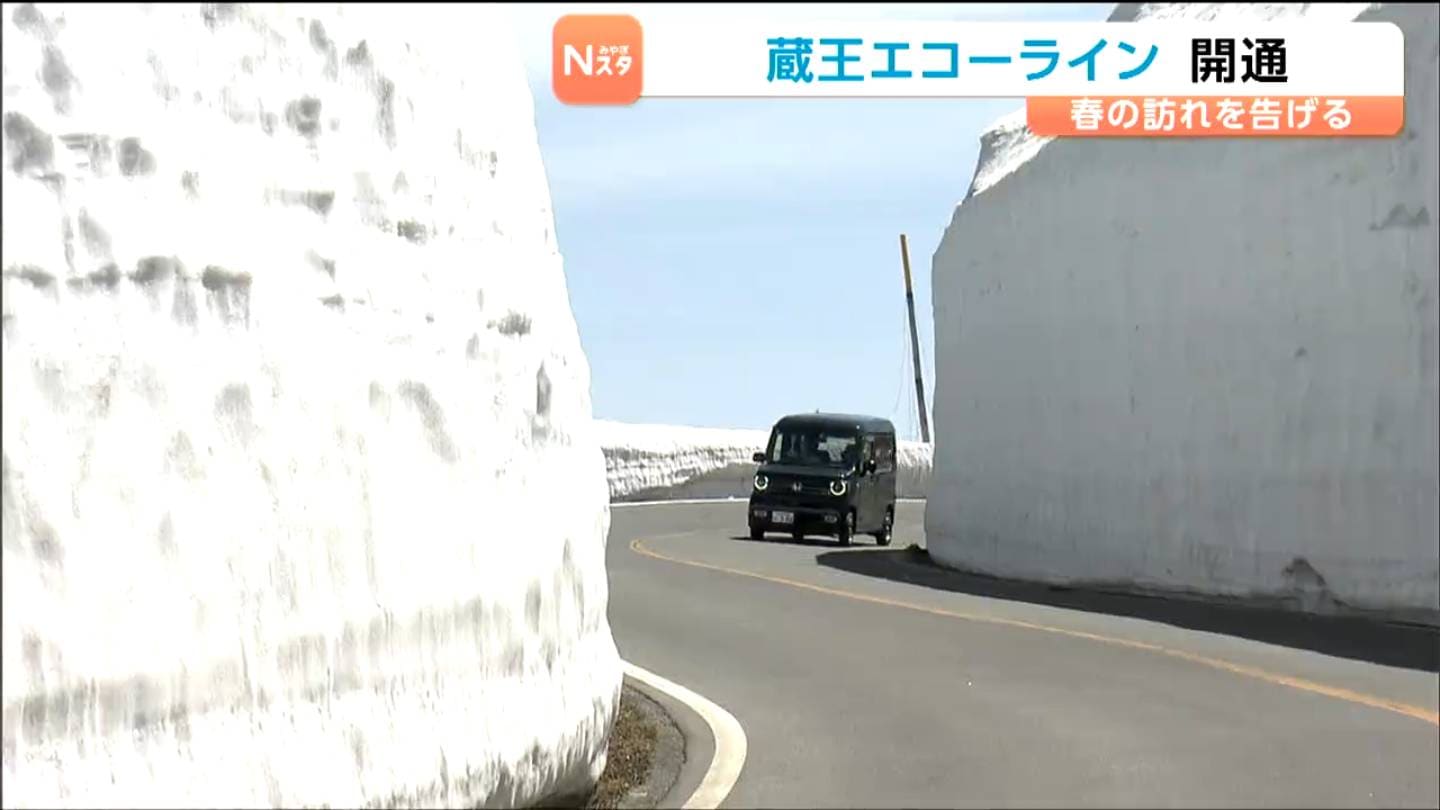 宮城・蔵王エコーラインが開通 2026年は雪が少なく「雪の壁」の高さは