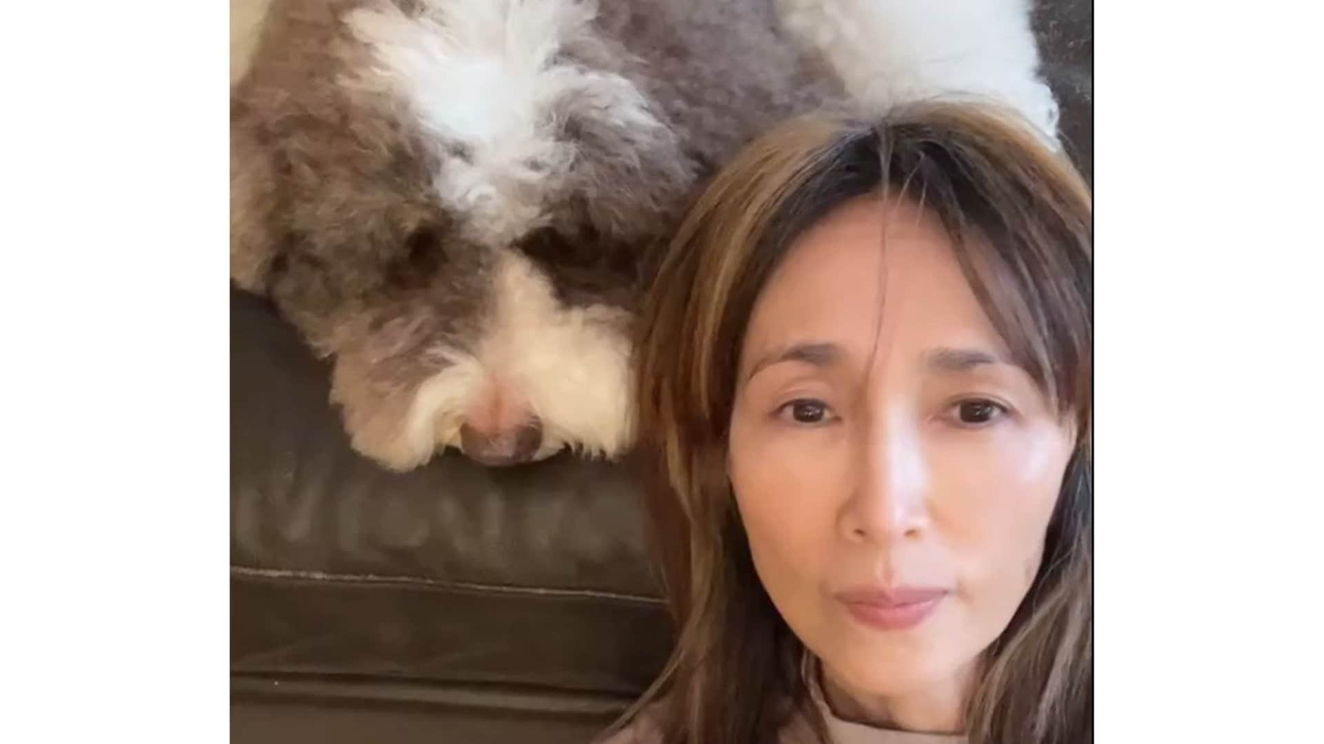 工藤静香 】 愛犬に叱られる姿を公開「年に数回、眠気マックスのエトに