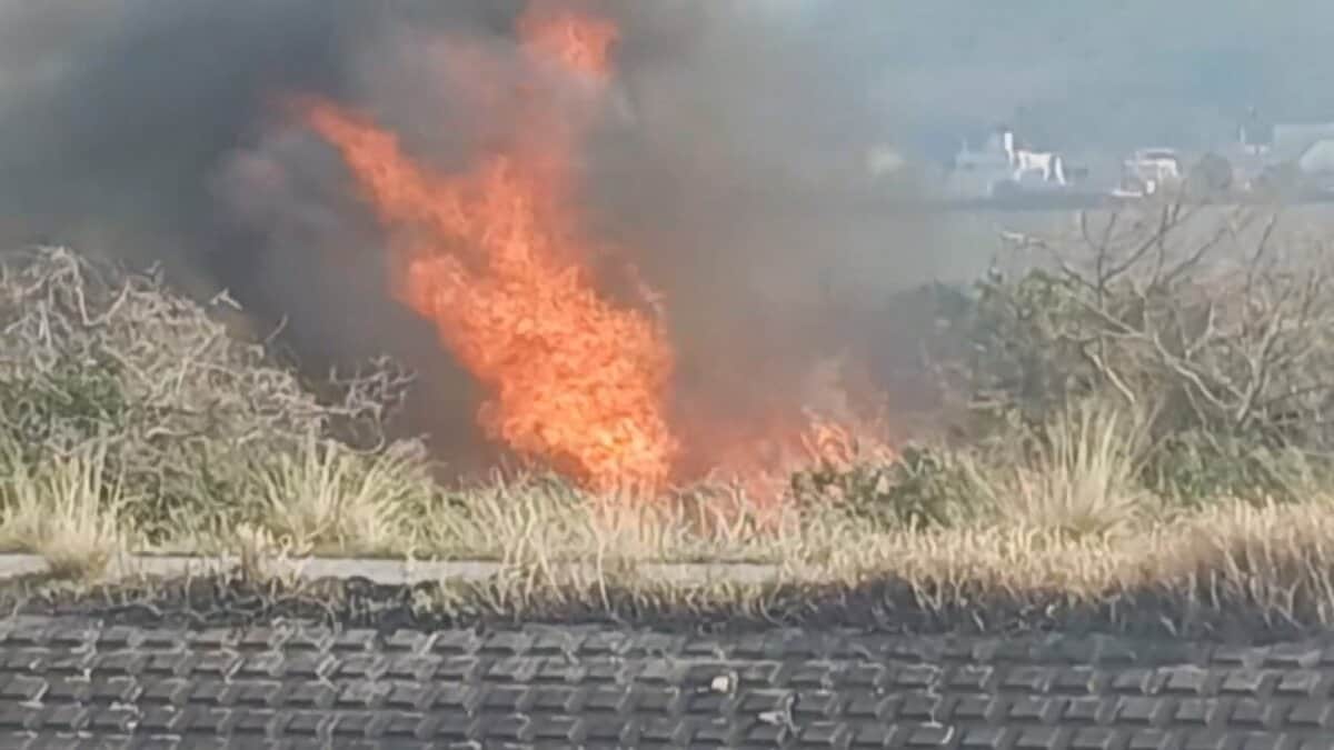 枯れ草火災 一夜明け、きょう鎮火 川の斜面など7haの枯れ草や金網