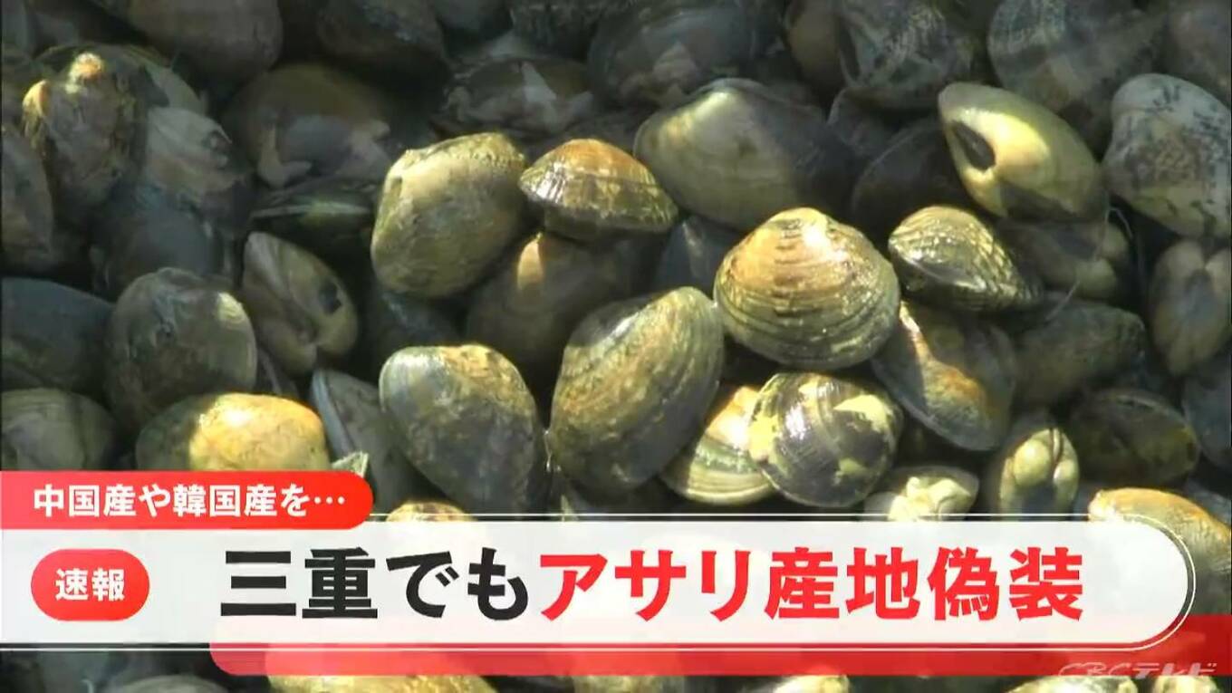 【速報】三重県内の3業者がアサリの産地偽装「中国産」や「韓国産」などを「三重県産」や「熊本県産」として販売 | TBS NEWS DIG ...