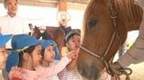 園児が乗馬体験 動物とのふれあいで優しい心育む 大分|TBS NEWS DIG