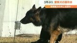 事件や行方不明者捜索で出動 警察犬競技会 3年ぶり開催 大分 | 大分のニュース|OBS NEWS|大分放送