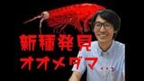 水深1200mに“大きな白い眼” 新種「オオメダマヨコエビ」発見の裏側…「名前がないと絶滅すら分からない」33歳研究者が「深海の小さな生き物」を追う理由|TBS NEWS DIG