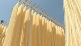 そうめんの天日干し始まる 青空の下“白いカーテン” 大分・宇佐市 | 大分のニュース|OBS NEWS|大分放送