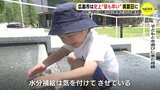 5月では記録的暑さ 広島市で「史上最早」真夏日に 大朝・油木では5月観測史上 最高更新|TBS NEWS DIG