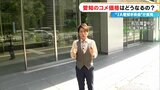 「コメ離れは好ましくない」JAあいちが会見 コメ価格の行方は?ミニマムアクセス米の前倒し輸入についても見解 名古屋・中区 | 名古屋・愛知・岐阜・三重のニュース【CBC news】 | CBC web